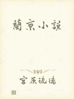 兰京小说