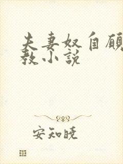 夫妻奴自愿被调教小说