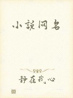 小说网名
