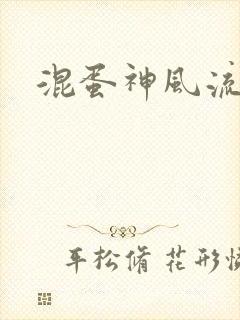 混蛋神风流
