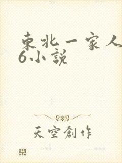 东北一家人1一6小说