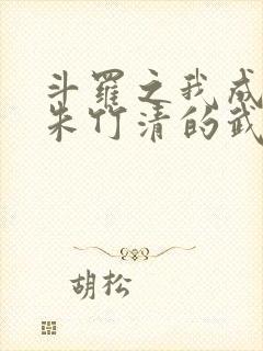 斗罗之我成为了朱竹清的武魂小说封面