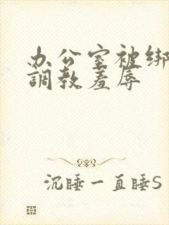 办公室被绑奶头调教羞辱