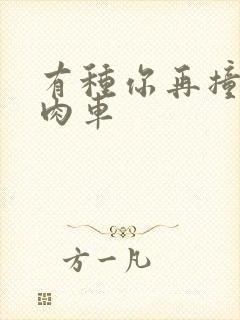 有种你再撞一下肉车