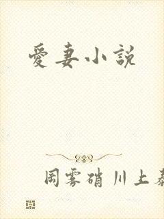 爱妻小说
