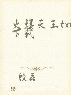 火爆天王txt下载