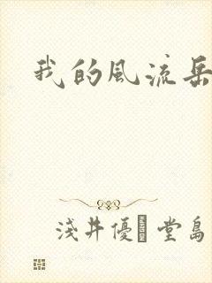 我的风流岳每封面