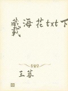 藏海花txt下载封面
