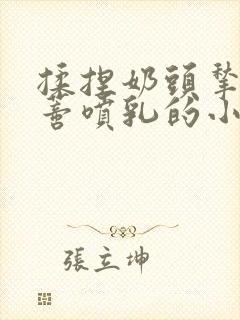 揉捏奶头揪扯阴蒂喷乳的小说