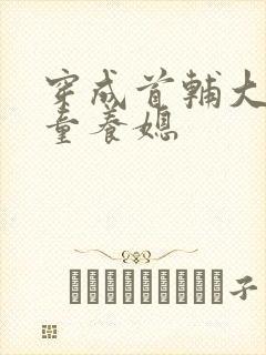 穿成首辅大人的童养媳