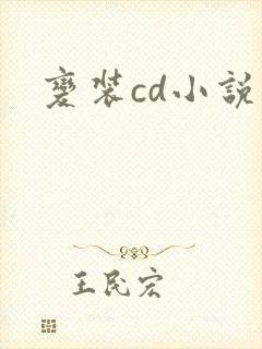 变装cd小说封面