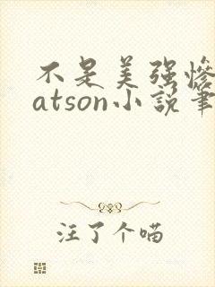 不是美强惨是batson小说笔趣阁