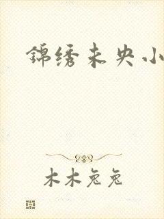锦绣未央小说封面