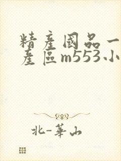 精产国品一二三产区m553小说封面