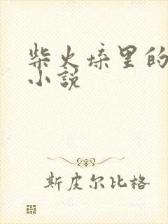 柴火垛里的疯狂小说封面