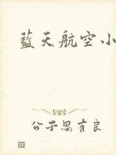 蓝天航空小说
