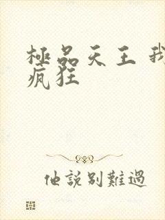 极品天王 我本疯狂