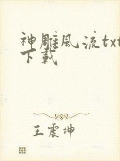 神雕风流txt下载