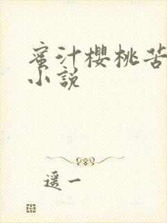 蜜汁樱桃苦咖啡小说