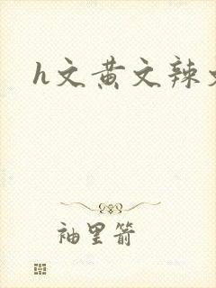 h文黄文辣文