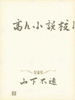 高h小说校园