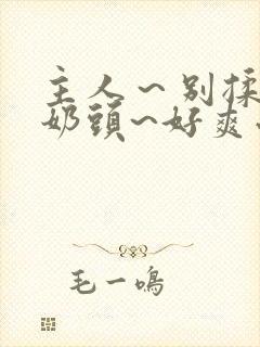 主人～别揉了～奶头~好爽小说