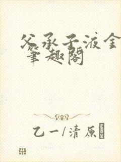 父承子液金银花 笔趣阁封面