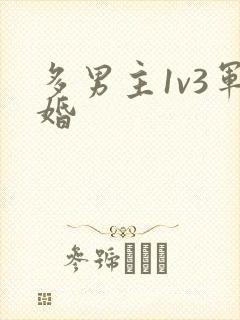 多男主1v3军婚