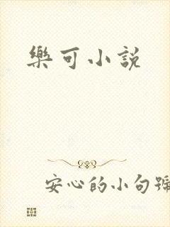 乐可小说封面
