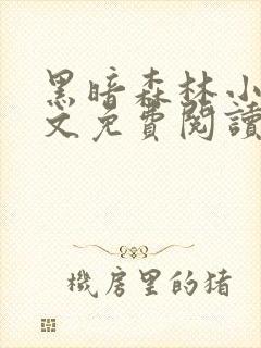 黑暗森林小说全文免费阅读笔趣阁