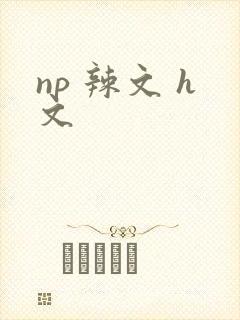 np 辣文 h文