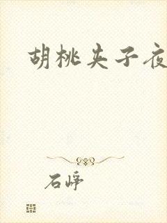 胡桃夹子夜未眠