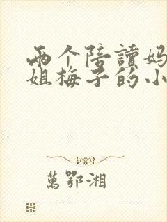 两个陪读妈妈赵姐梅子的小说