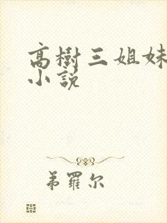 高树三姐妹有声小说封面