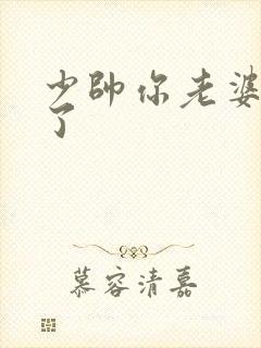 少帅你老婆又跑了