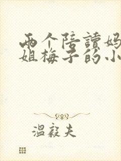 两个陪读妈妈赵姐梅子的小说封面