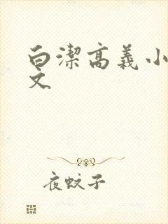 白洁高义小说全文封面