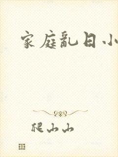 家庭乱日小说