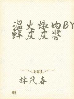 温火炖肉BY海鲜皮皮酱