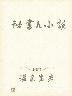 秘书h小说