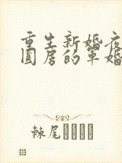 重生新婚夜正在圆房的军婚