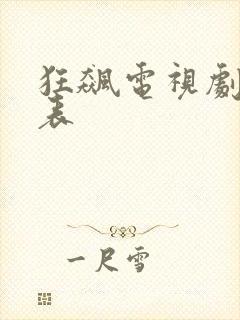 狂飙电视剧演员表封面