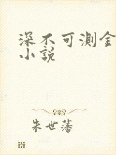 深不可测金银花小说封面