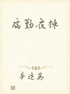 病勤夜栋封面