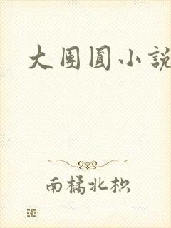 大团圆小说封面