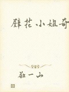 壁花小姐奇遇记