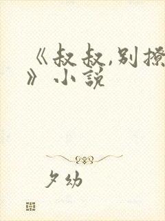 《叔叔,别撩我》小说