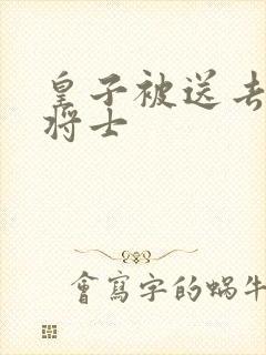 皇子被送去犒劳将士