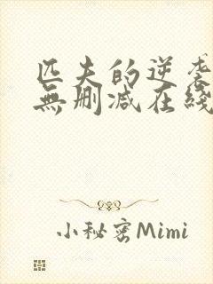 匹夫的逆袭小说无删减在线阅读