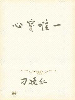 心宝唯一